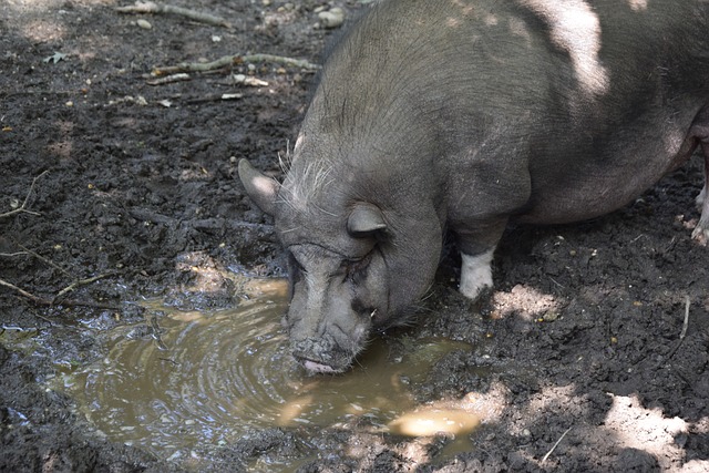 需求不斷增 需求不斷增