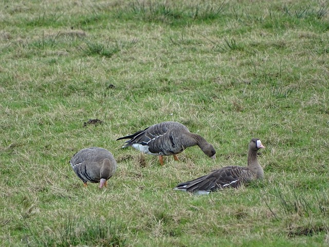 部表现出色 部表现出色