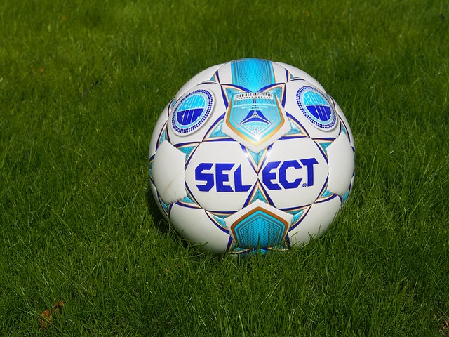 看到其中的 看到其中的