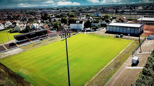 丰富曼联的 丰富曼联的