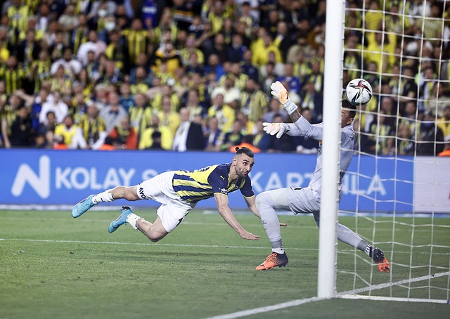 集体信念 集体信念