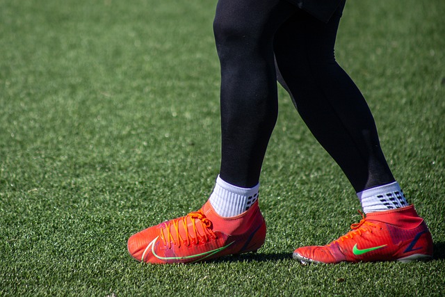 这一回合的 这一回合的