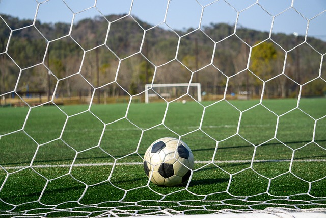 未来选择无 未来选择无