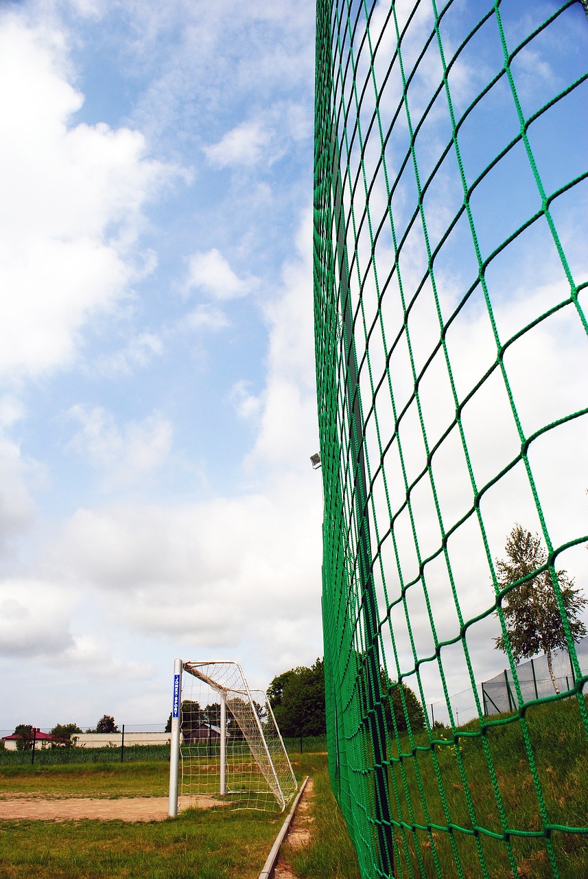 观众也积极 观众也积极