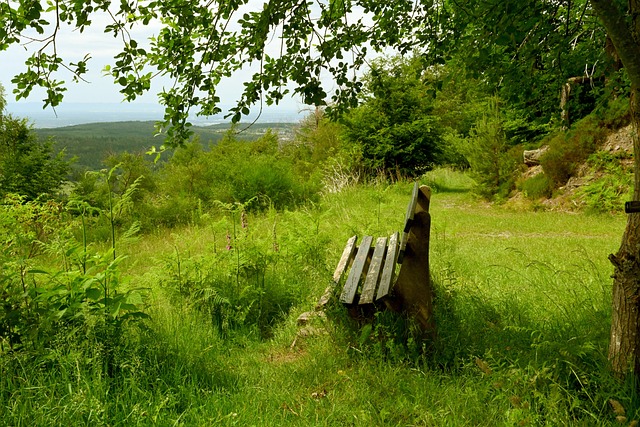 政党博弈与 政党博弈与